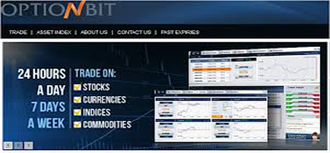 OptionBit review